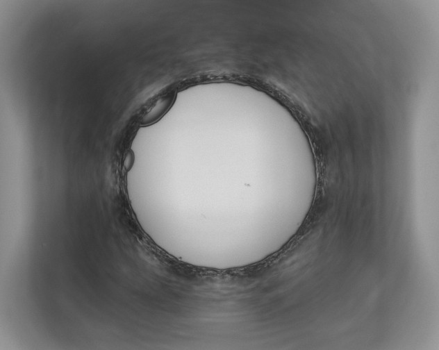 X0000112941207200909141340