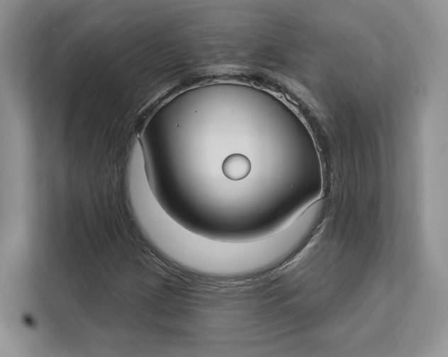 X0000112941209200909141340