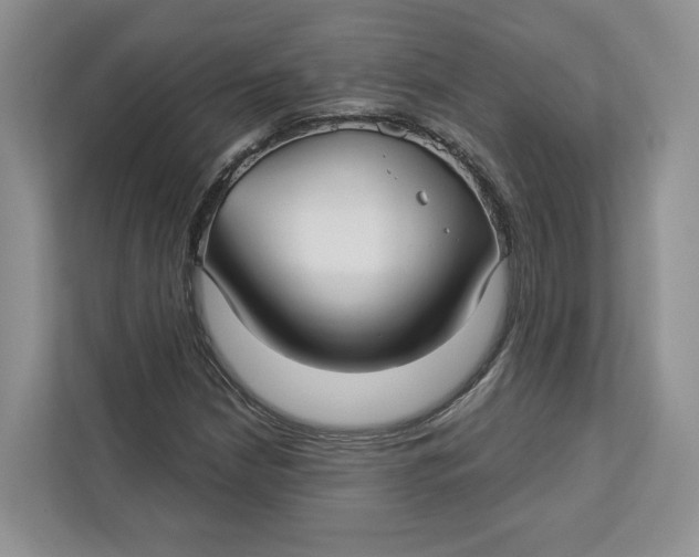 X0000112941210200909141340