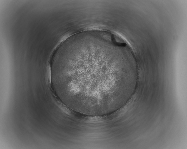 X0000112941219200909141340