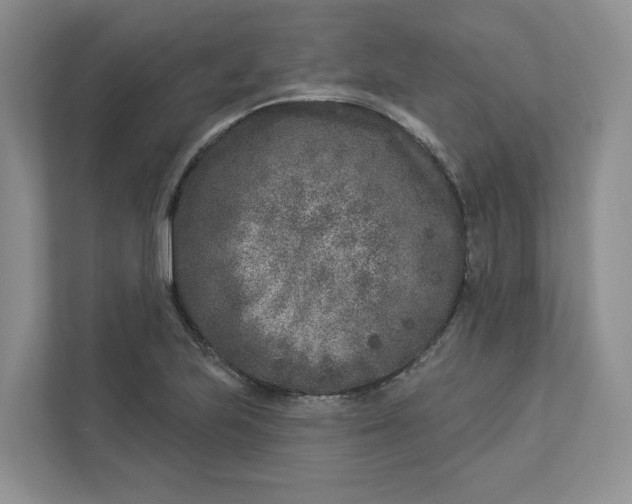 X0000112941223200909141340