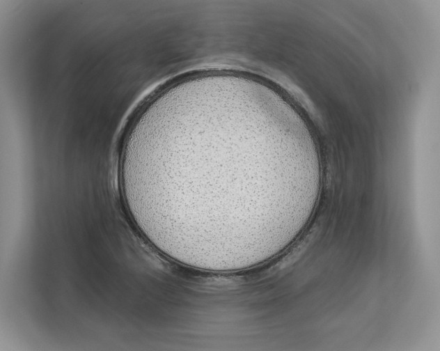 X0000112941224200909141340