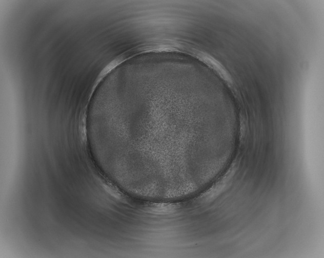 X0000112941226200909141340