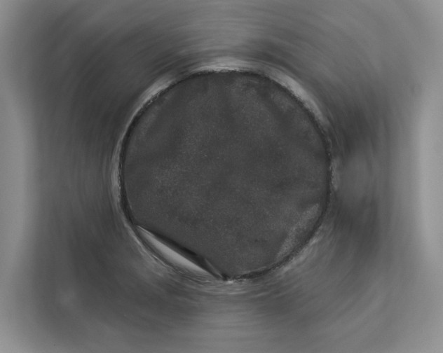 X0000112941229200909141340