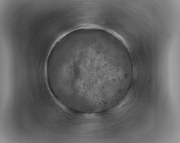 X0000112941231200909141340