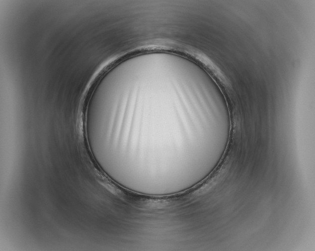 X0000112941232200909141340