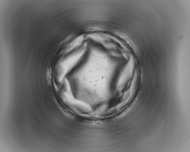 X0000112941233200909141340