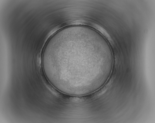 X0000112941234200909141340