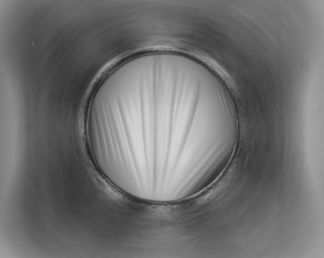 X0000112941240200909141340