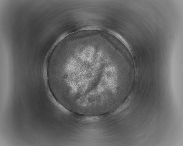 X0000112941243200909141340