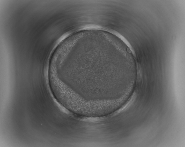 X0000112941245200909141340