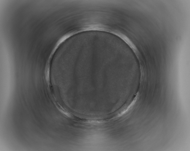 X0000112941246200909141341