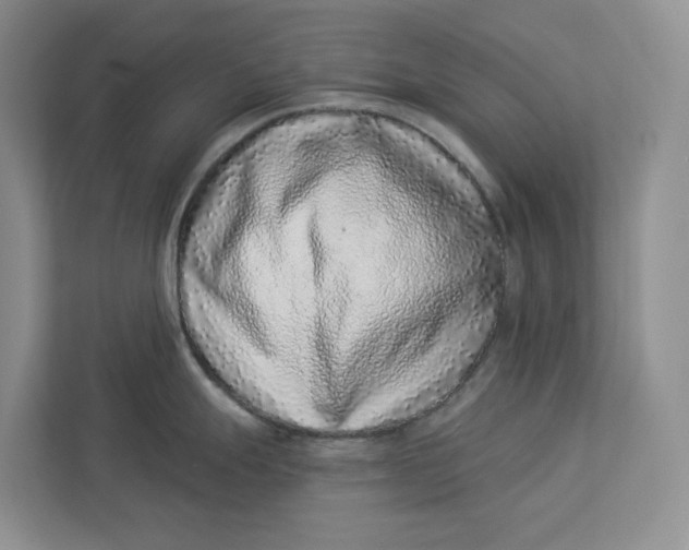 X0000112941247200909141341