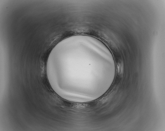 X0000112941251200909141340