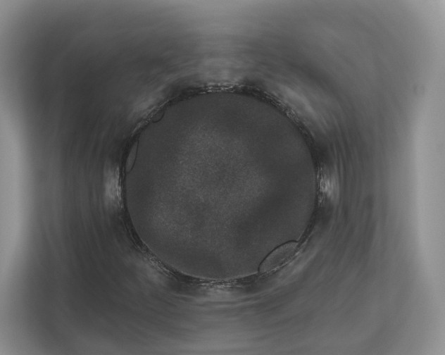 X0000112941252200909141340