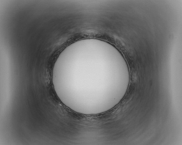 X0000112941253200909141340