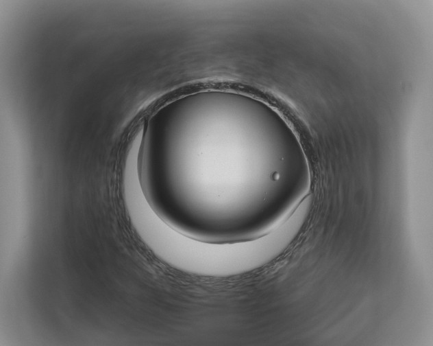 X0000112941255200909141340