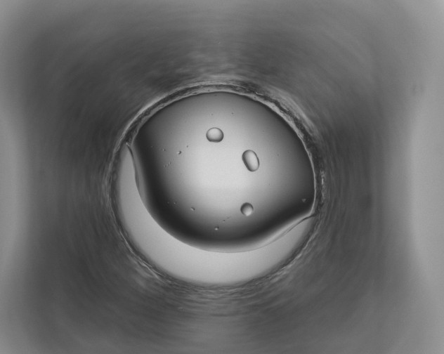 X0000112941260200909141340