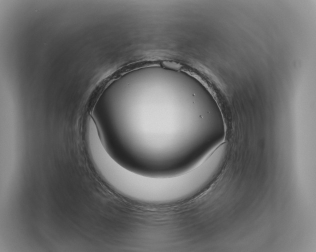 X0000112941261200909141340