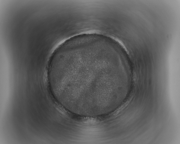 X0000112941263200909141340