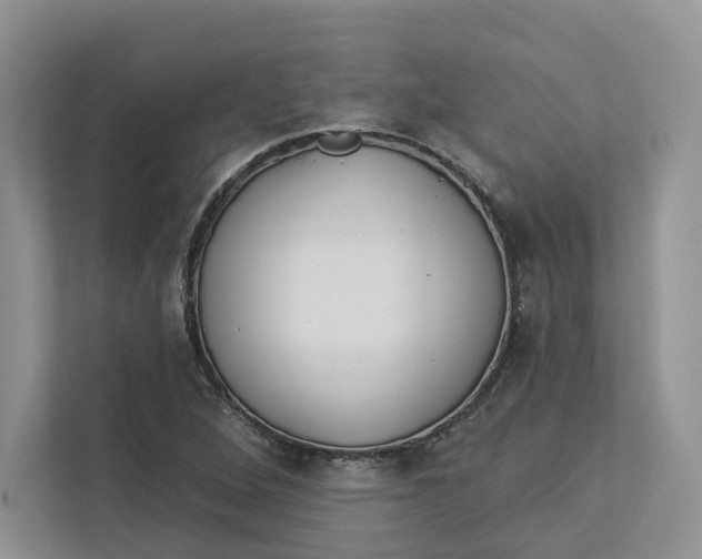 X0000112941264200909141340