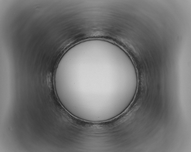 X0000112941265200909141340