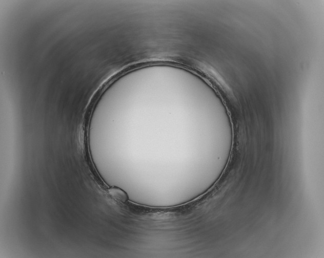 X0000112941268200909141340