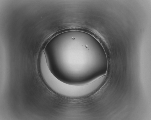 X0000112941269200909141340