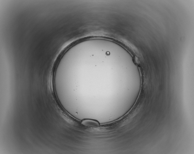 X0000112941272200909141340