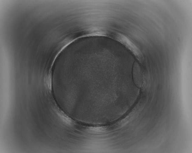 X0000112941276200909141340