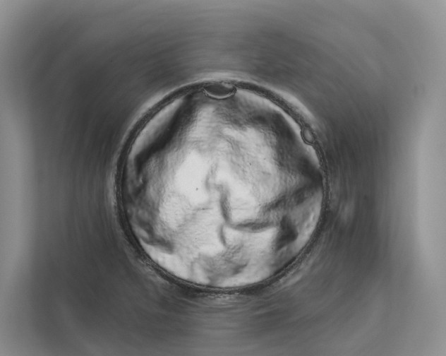 X0000112941279200909141340