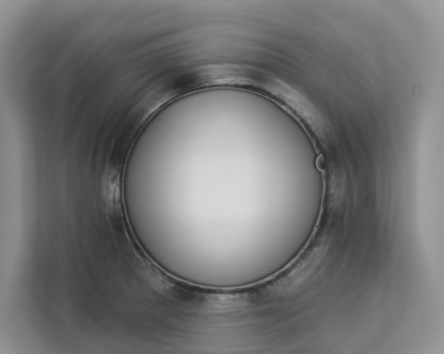 X0000112941281200909141339