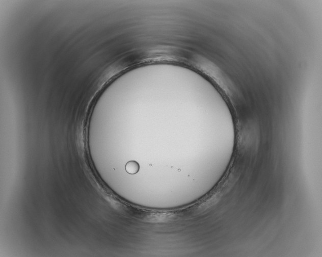 X0000112941282200909141339