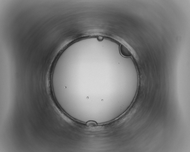 X0000112941285200909141339