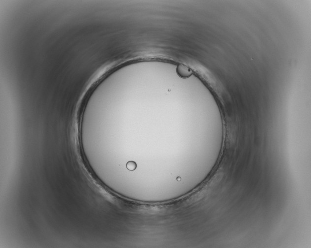 X0000112941286200909141339