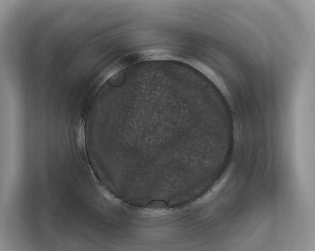 X0000112941289200909141339