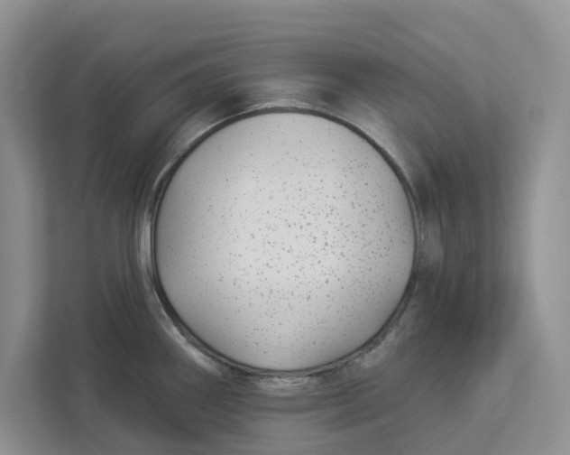 X0000112941290200909141339