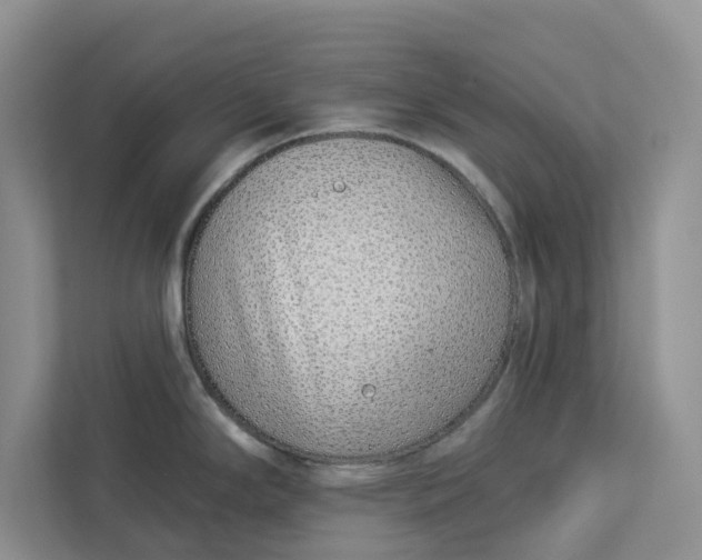 X0000112941294200909141339