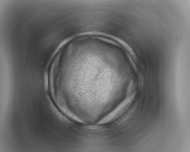 X0000112941295200909141339