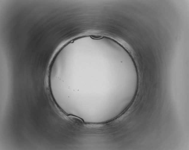 X0000112941296200909141339