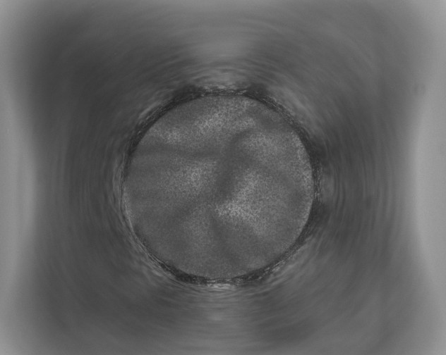 X0000112941297200909141339