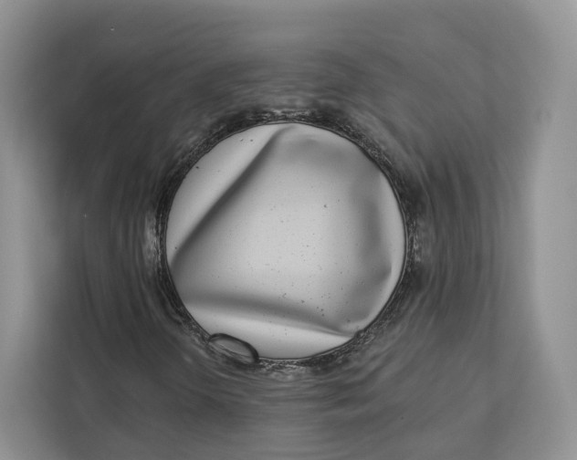 X0000112941298200909141339