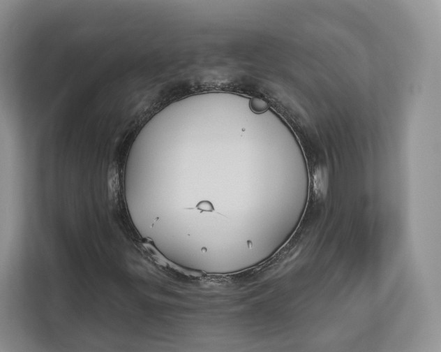 X0000112941299200909141339