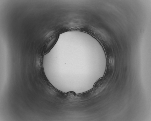 X0000112941300200909141339