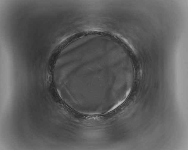 X0000112941303200909141339