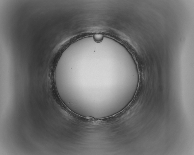 X0000112941304200909141339