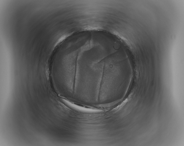 X0000112941306200909141339