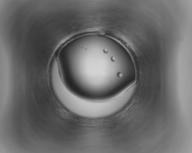 X0000112941308200909141339