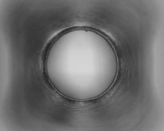 X0000112941311200909141339