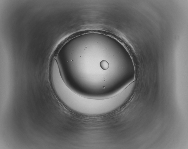 X0000112941312200909141339